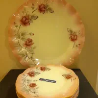 ظروف پذیرایی