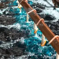 نیروی جهت ابکاری نیازمندیم