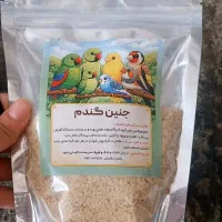 خوراک پرنده