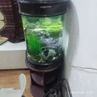 اکواریوم خارجی شیشه خم