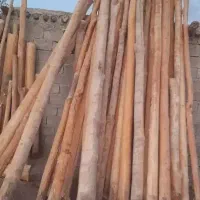 خرید انواع چوب