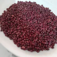 لوبیای بذری