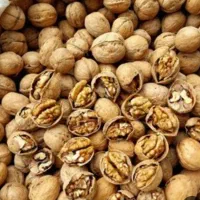 فروش گردو