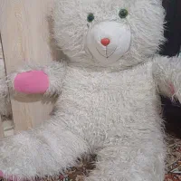 خرس بزرگ سفید