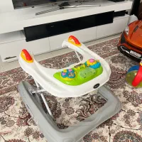 روروئک واکر شو
