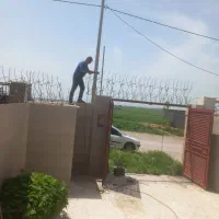 حفاظ شاخ گوزنی