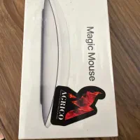 Magic Mouse