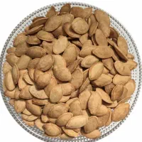 تخمه کدو