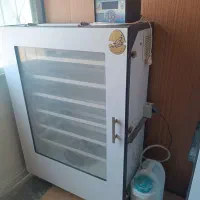 دستگاه جوجه کشی فاخته 504تایی