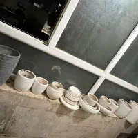 گلذان ها کاملا سالم