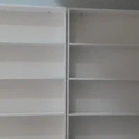 رگال شاخکی ویترین پاچال وباکس