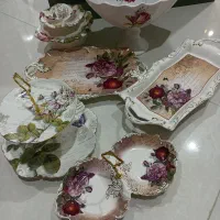 سرویس کامل درجه یک پزیرا