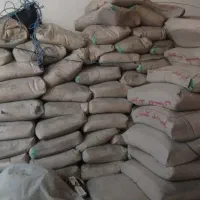 سیمان پیوند گلستان دونه 250