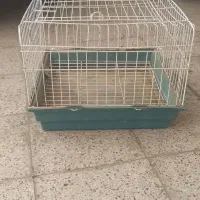 قفس خرگوش و گربه