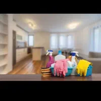 انجام کارهای نظافت منزل و غیره