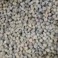 گرگرو تمیز ودرشت