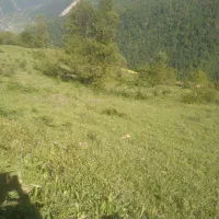 فروش زمین باغی در افراتخته