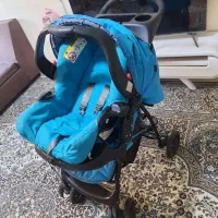 کالسکه و کریر گراکو آمریکایی