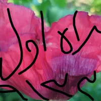خط دائمی|سیمکارت|کرمان, |دیوار