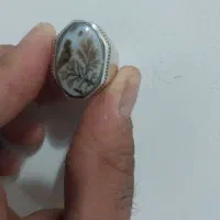 انگشتر شجر