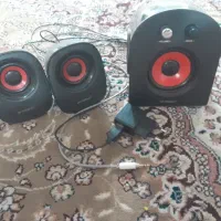ضبط