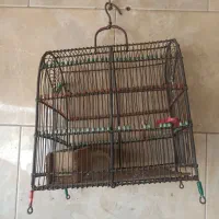 قفس سره دست بافت