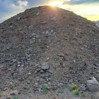 کودگوسفندی‌کهنه