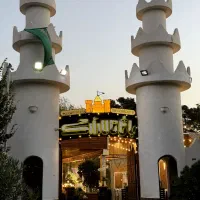 نیرو فنی و تاسیساتی ماهر