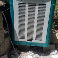 کلر ابی ۳۲۰۰ خشک فروش فوری