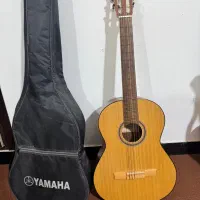گیتار کلاسیک  دالاهو بدون خط و خش