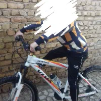 دوچرخه ویوا اصل