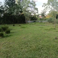 175متر زمین داخل طرح هادی روستای