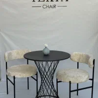 صندلی تدی نهار خوری