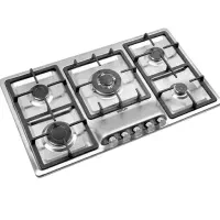 گاز صفحه ای صنام قیمت ۲۱