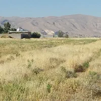 زمین 200 متری شهرک دودمان