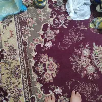 قالی 12متری
