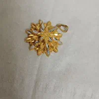 بدلیجات