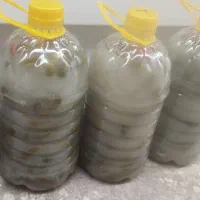 خیارشور درجه یک به ضمانت تست