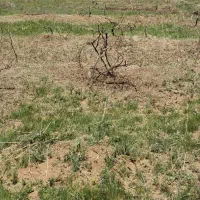 اکیپ جهت باغ اسبار