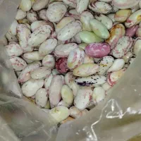 لوبیا چیتی