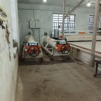 کارخانه قالیشویی کیان پیشوا ورامین