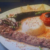 تراکت پخش کن و ویزیتور