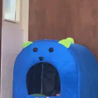 جای خواب سگ