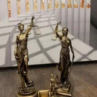 پذیرش وکالت توسط استاددانشگاه تهران