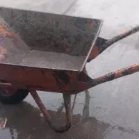 فرقون