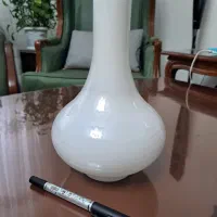 حباب شلغمی