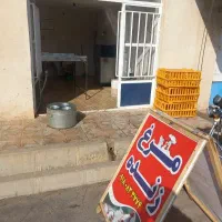 وسایل مرغ فروشی