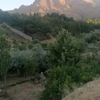 215متر زمین قلات