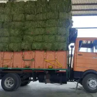 خاور بنز 800 ۷۶شاسی مشکی