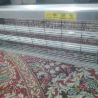 حشر کس برقی